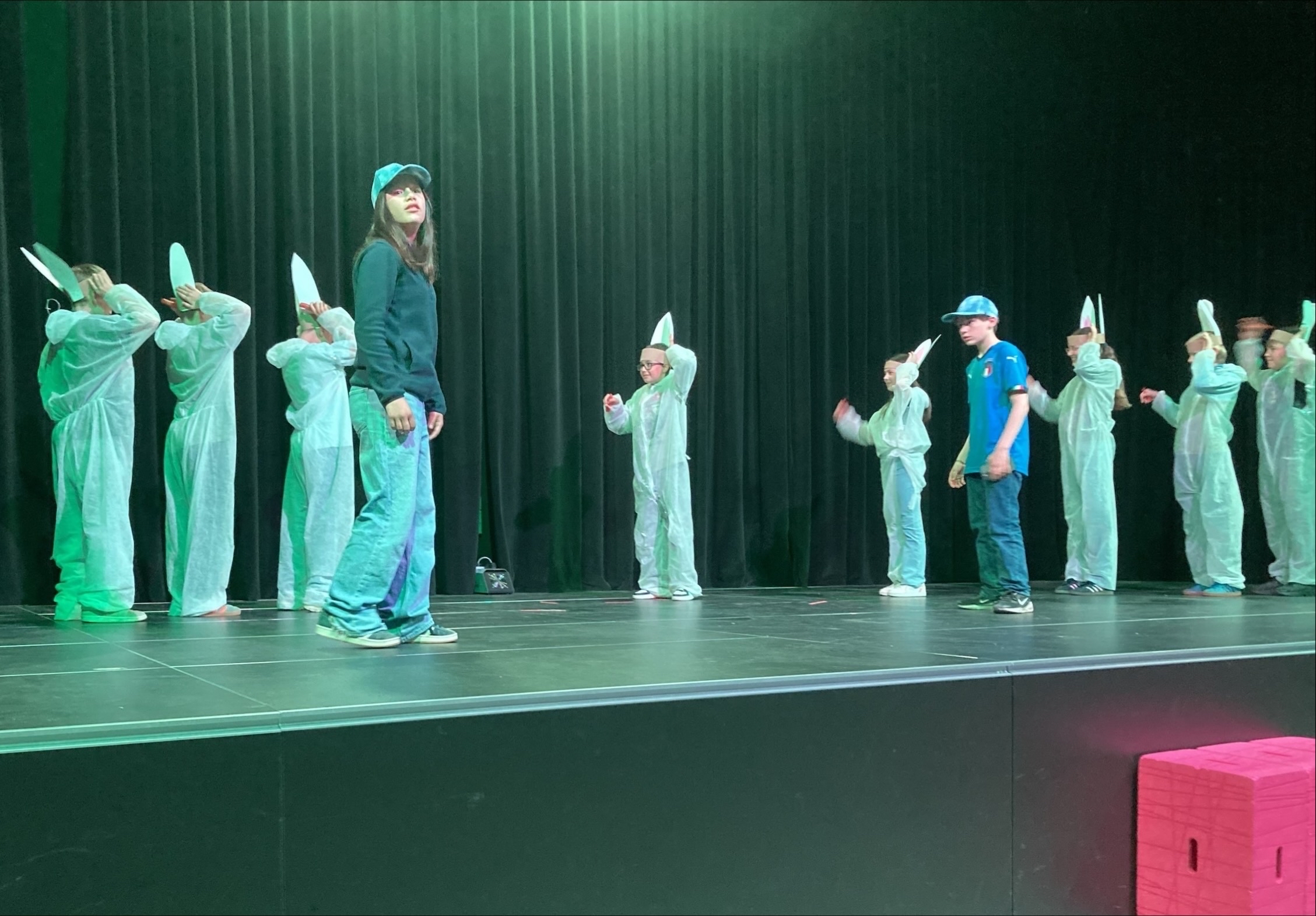 Image (4)